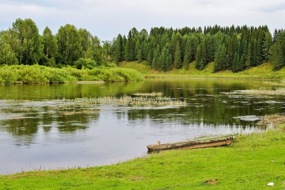 Зеленый мир