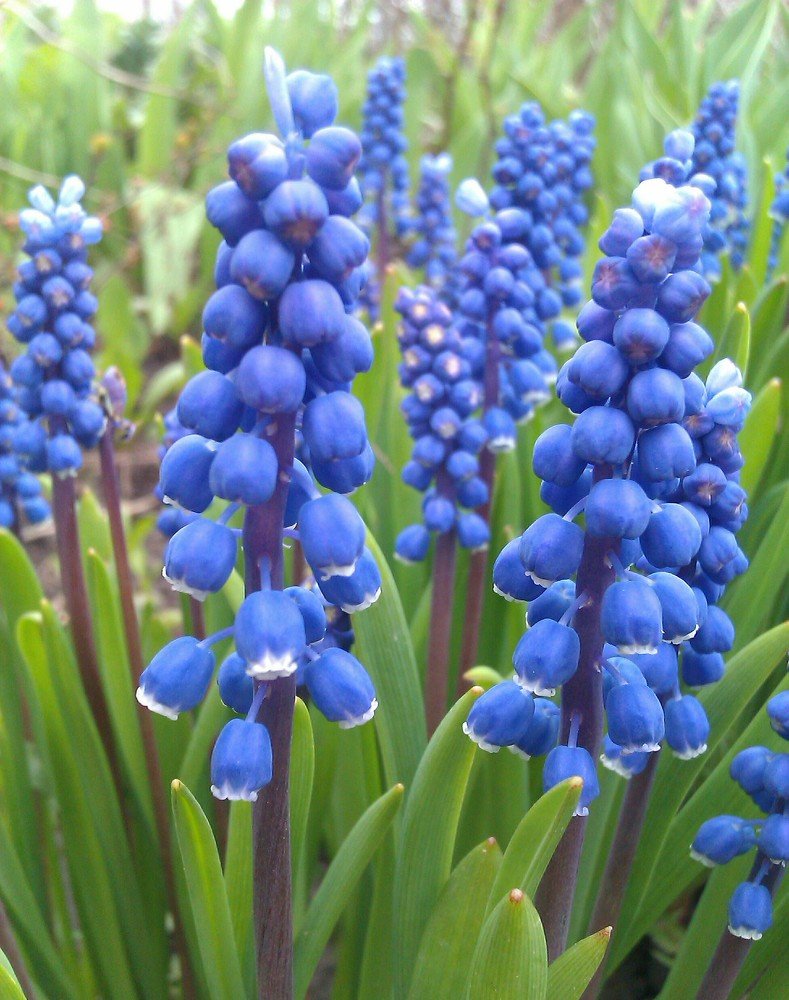 Photograph by Евгений Беляев