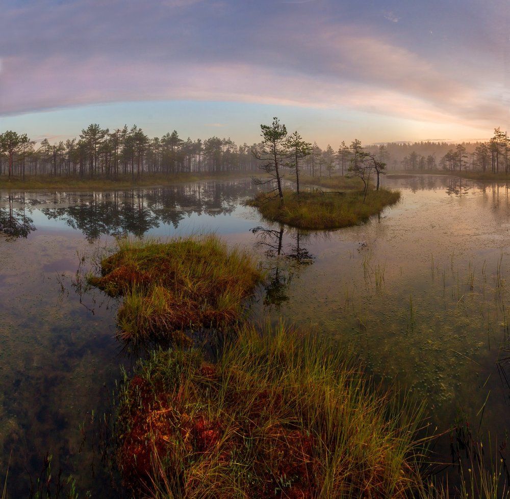 Рассвет на болоте