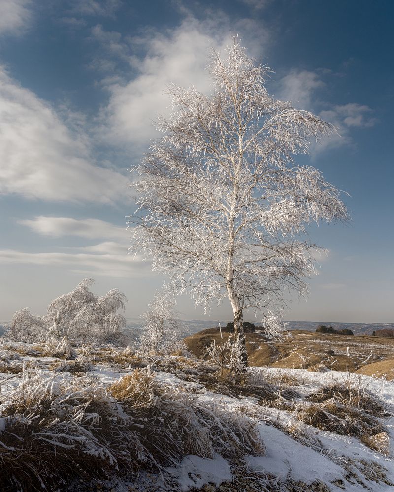 Photograph by Денис