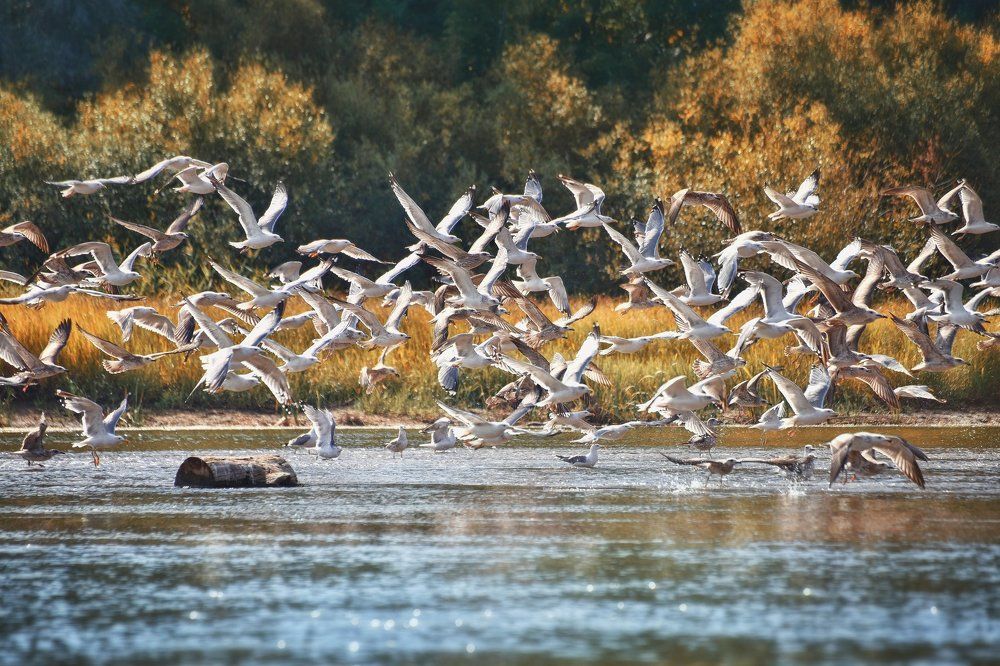 Осенний Урал