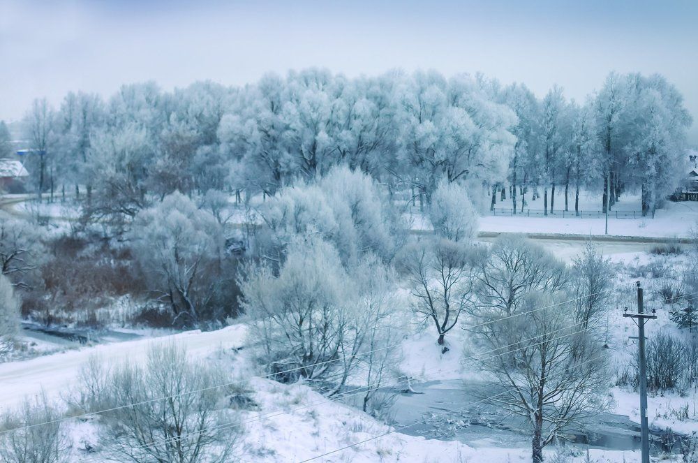 По дороге домой