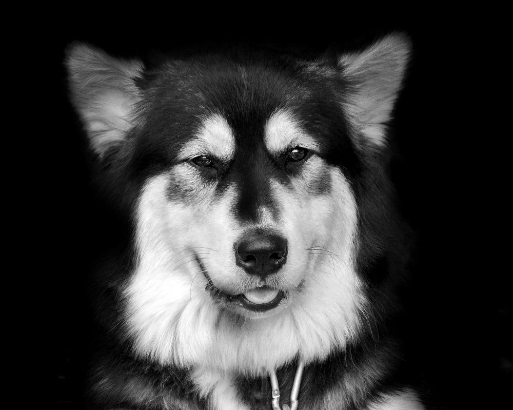 Спокойствие силы