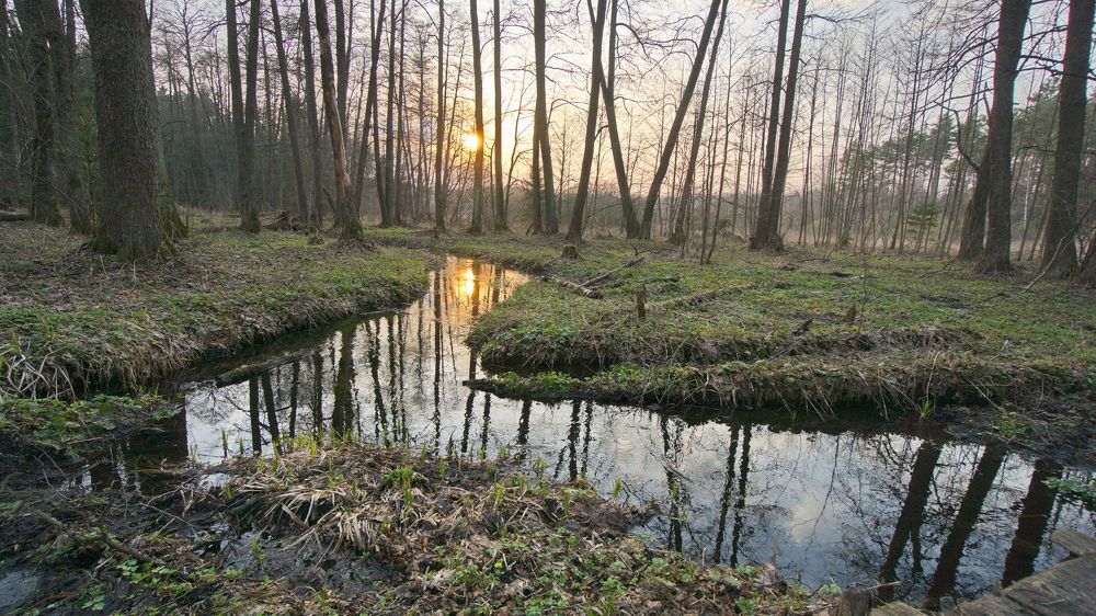 Речка Ивановка. Апрельский вечер.
