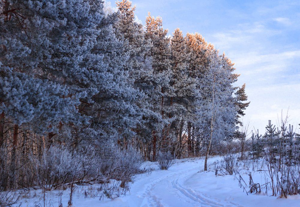 обратная сторона заката