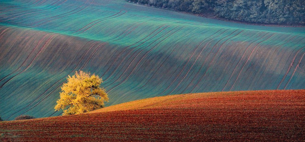 Моравская осень...
