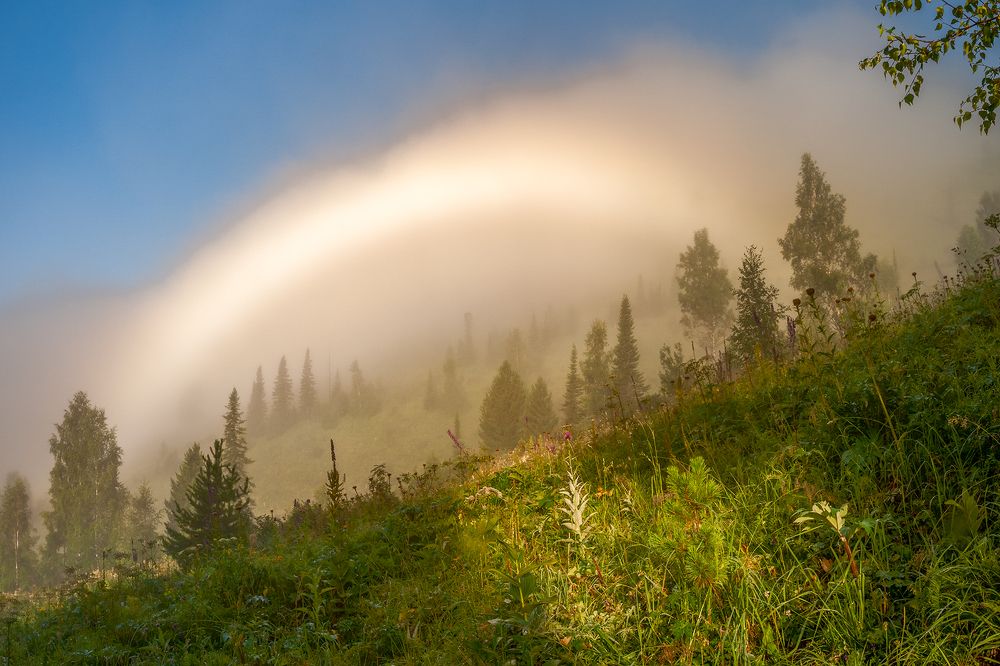 Вот такая радуга!
