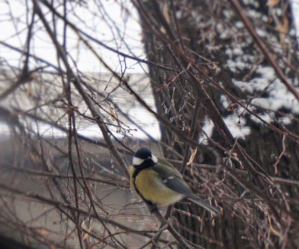 Photograph by Алия Байсыкова