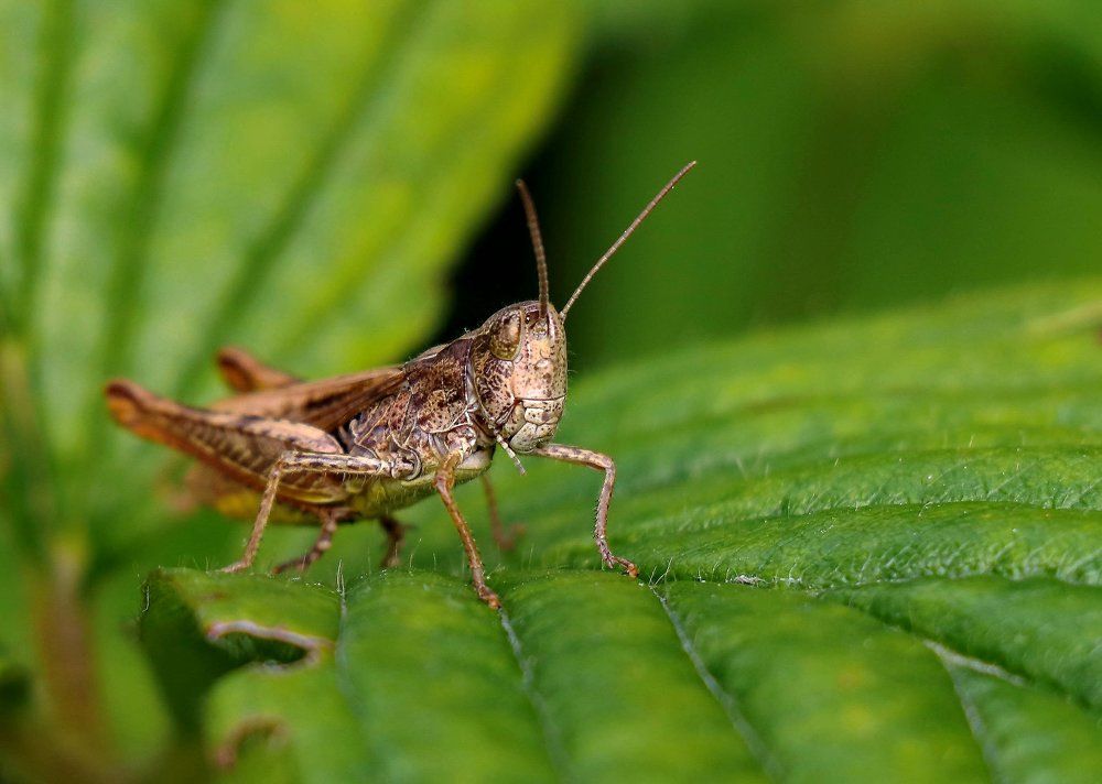 Photograph by Игорь Осипов