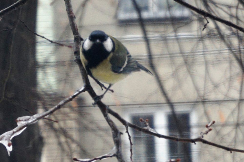 Photograph by Алия Байсыкова