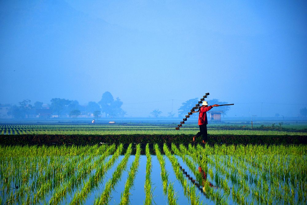 Go to works in the morning bright