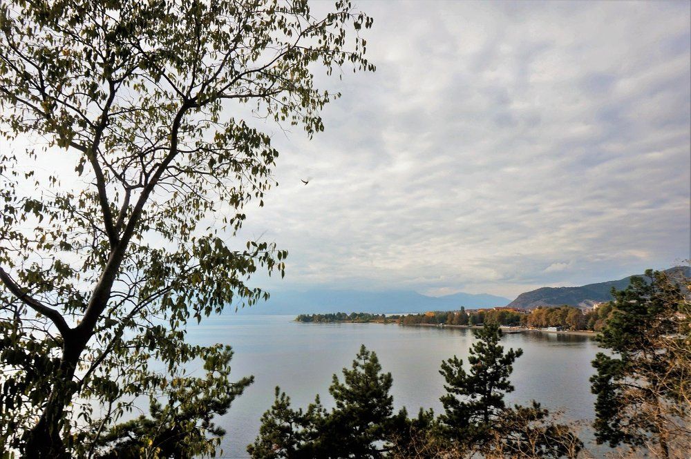 Photograph by Алия Байсыкова