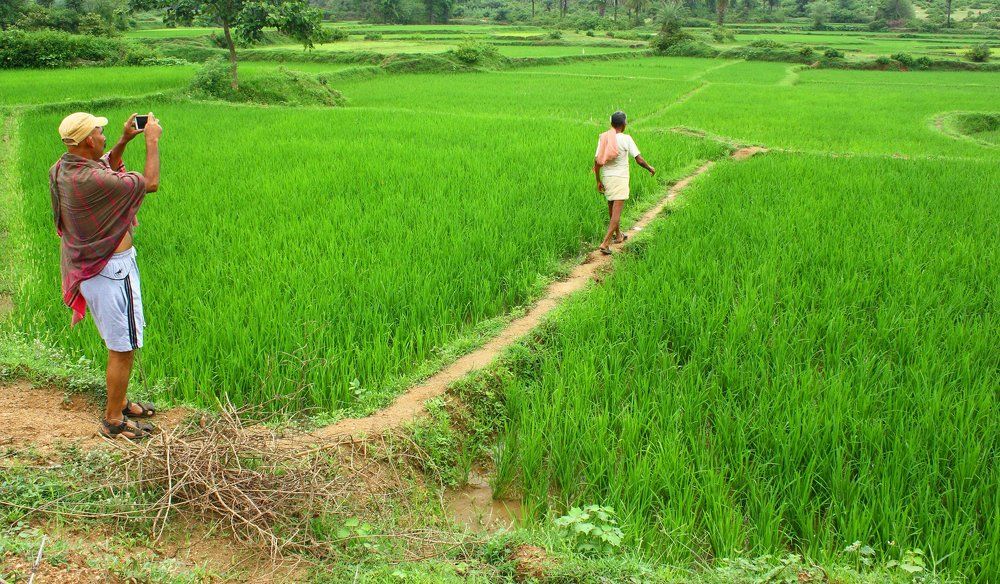 everyone  is  photographer