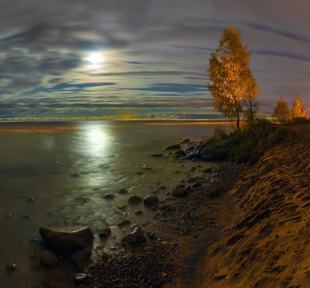 Лунная ночь