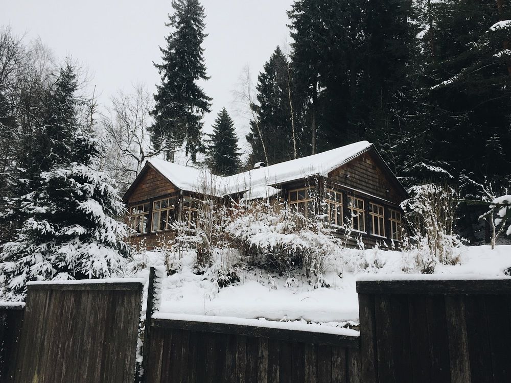 Без названия