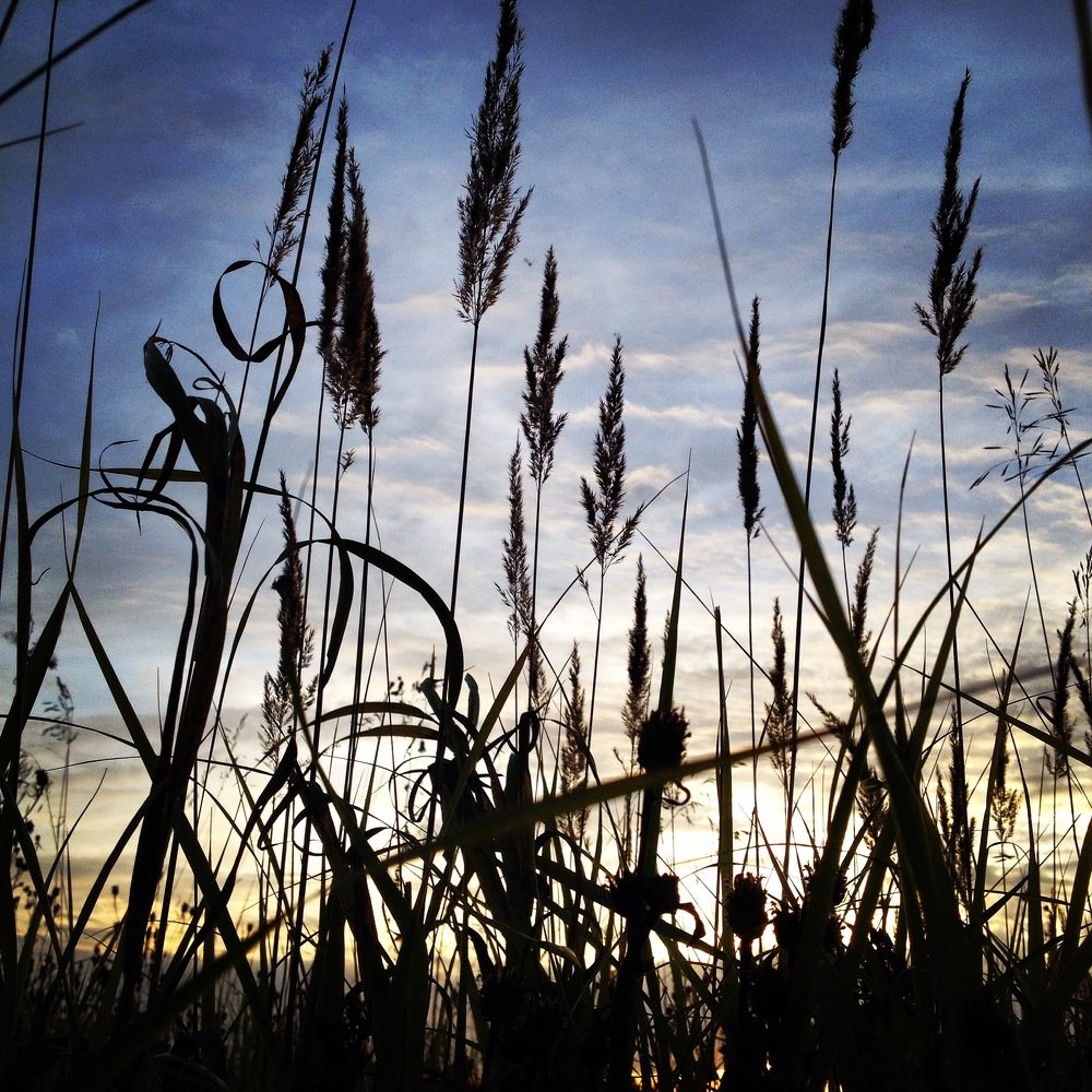 Утонуть в траве