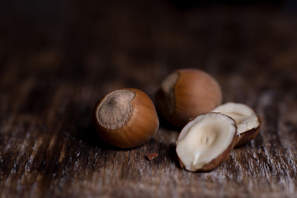 Лесной орех