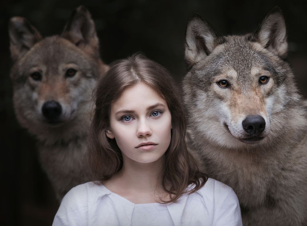 Girl and Wolves