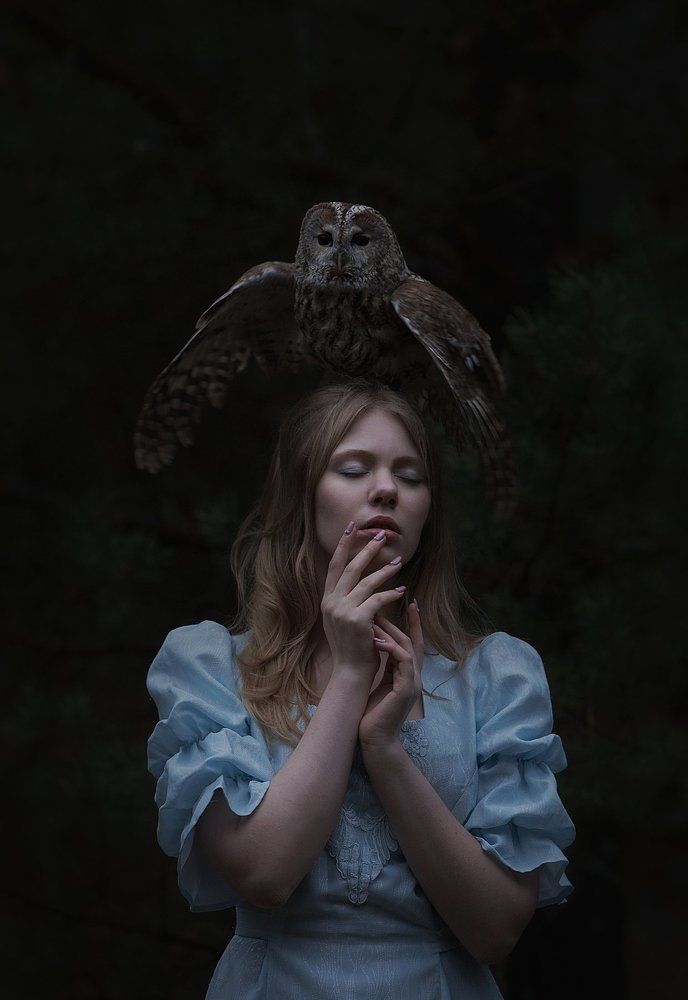 Girl and Owl
