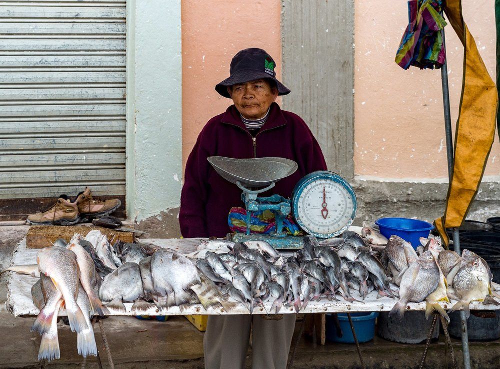 Торговка рыбой