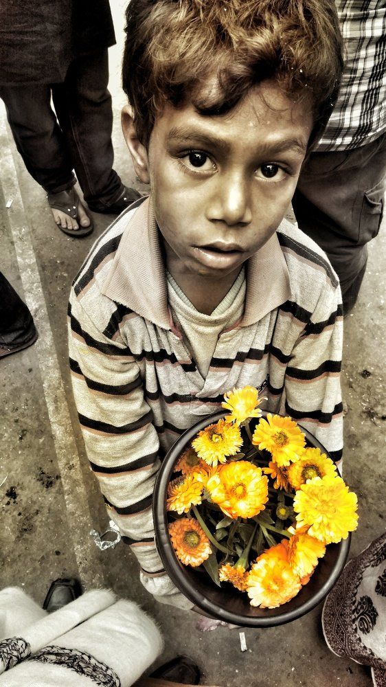 The Colourless Lives