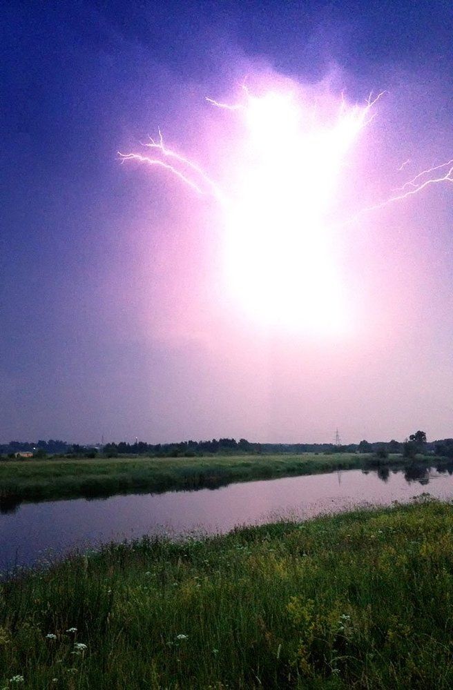 Photograph by v Stark