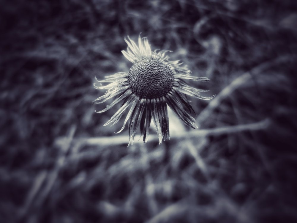 Мелкие детали земли