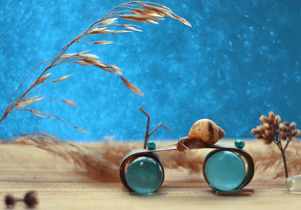 Photograph by Воинкова Ирина