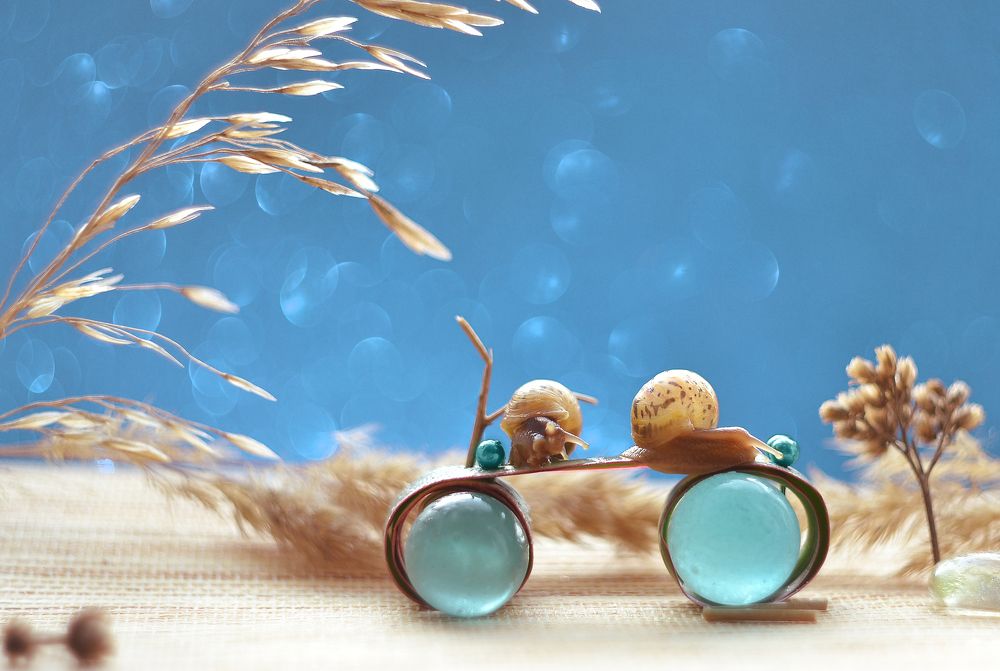 Photograph by Воинкова Ирина