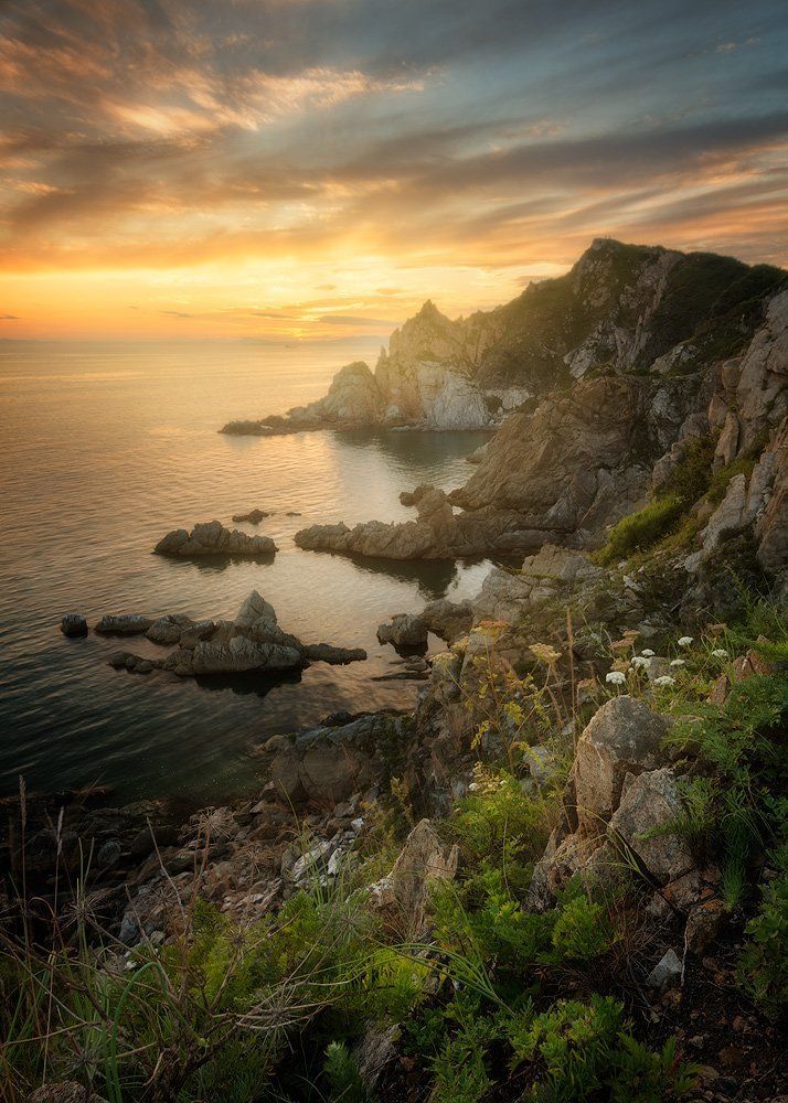 Приморские мотивы