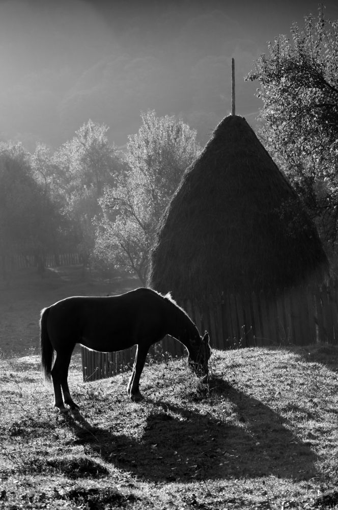 утро в горах