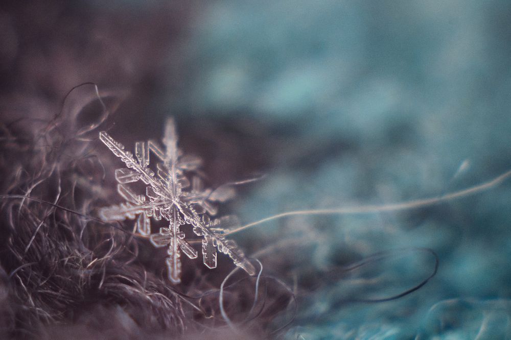 Photograph by Аксана Чалова