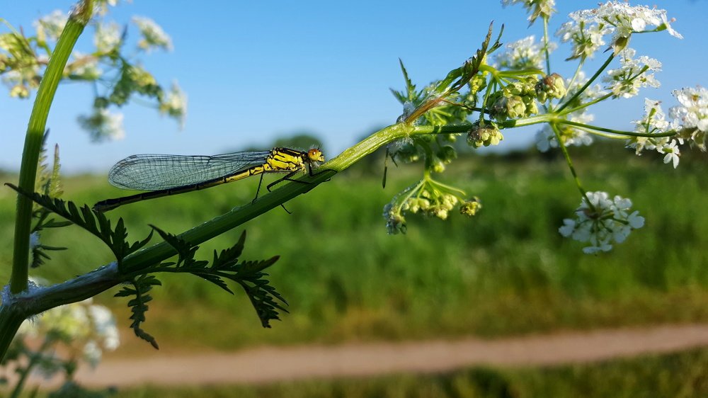 Перед полётом