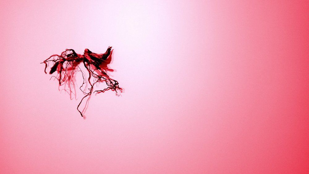 Инсталляция