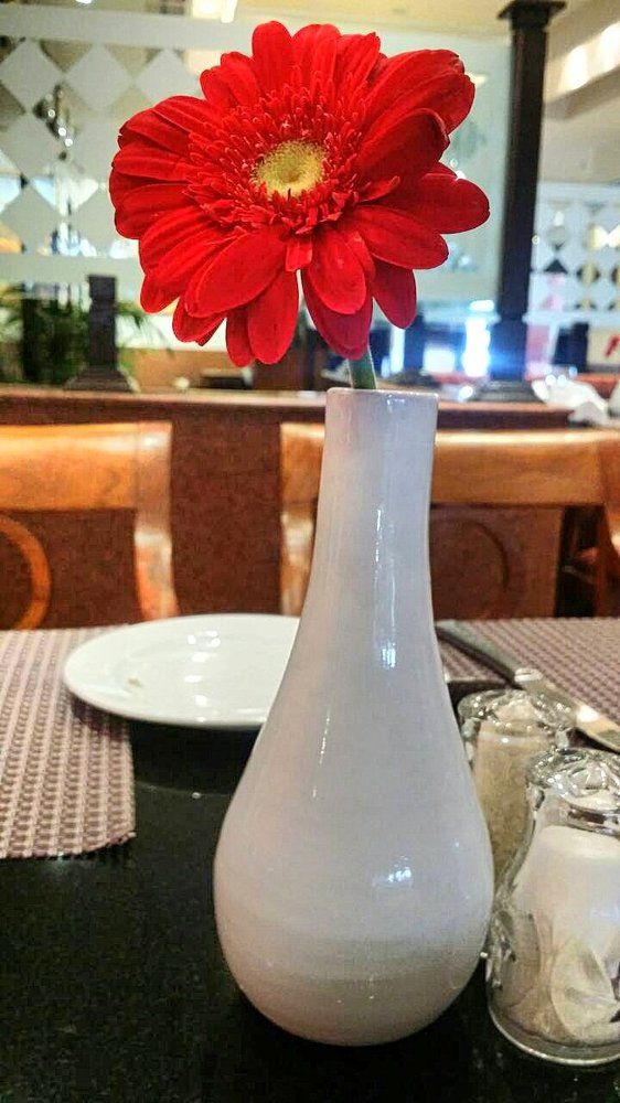 Фотография автора Saruna