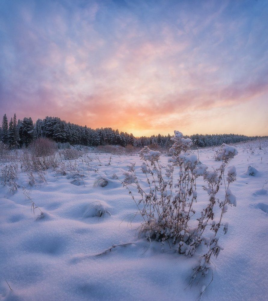 "В предрассветный час"