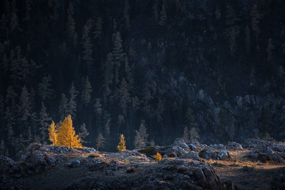 Осенние свечи...