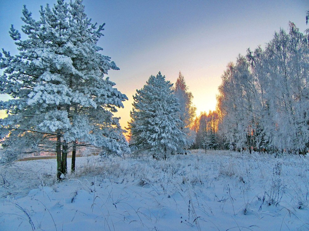 Январский день