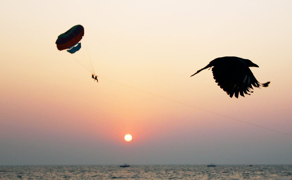 в Южном ГОА