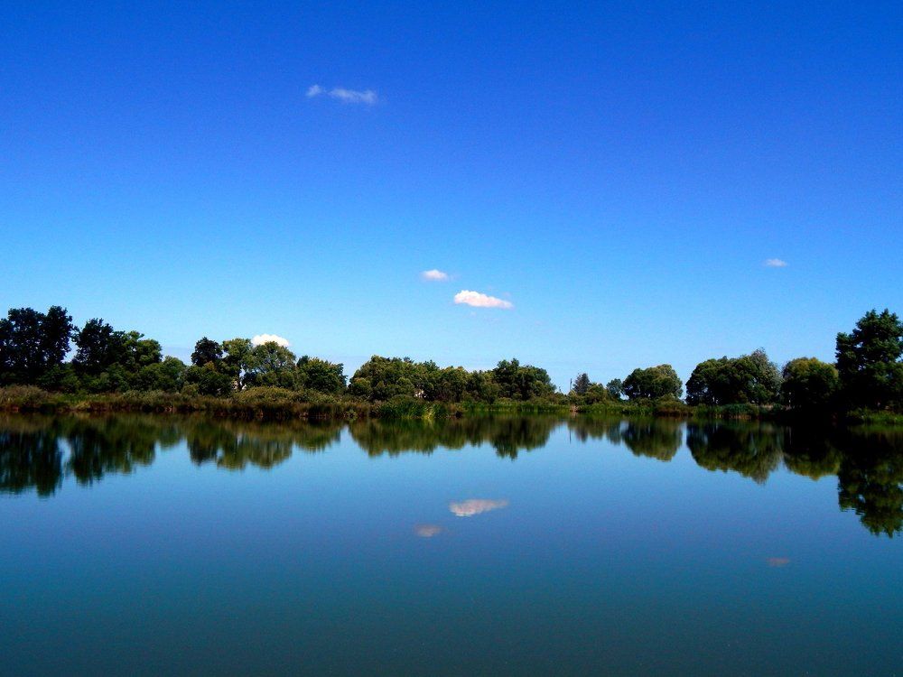 Зеркало природы