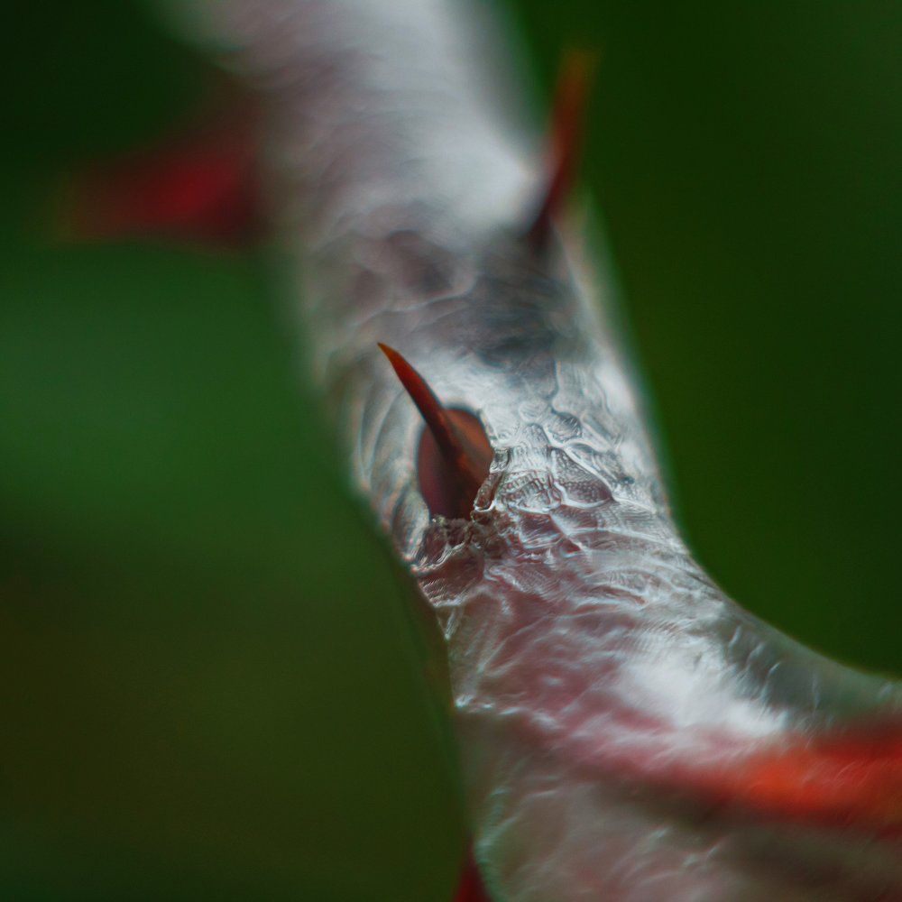 Photograph by Руслан Колоденский