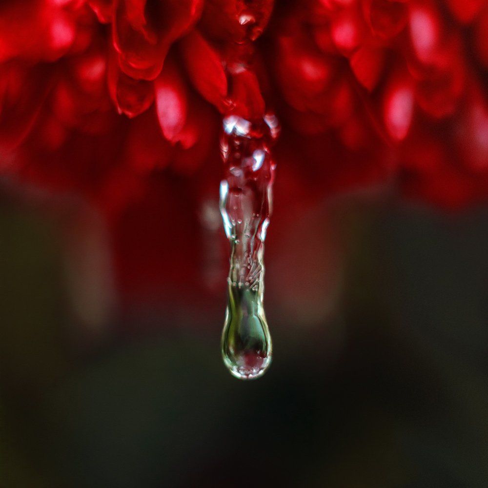 Photograph by Руслан Колоденский