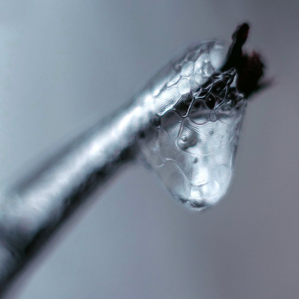 Photograph by Руслан Колоденский