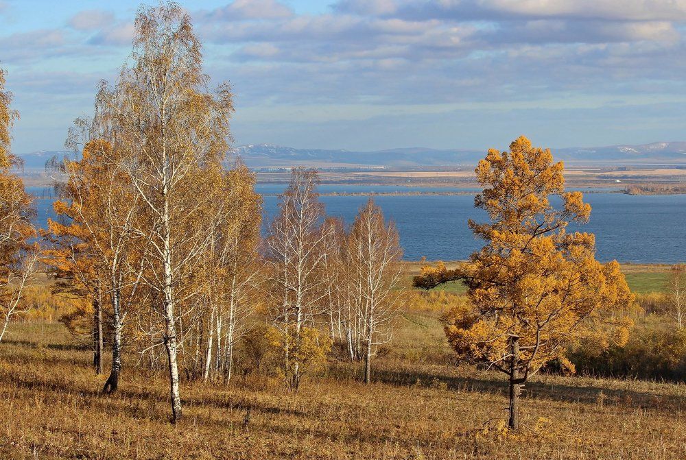 Осенний пейзаж у Берёзовского  водохранилища. Сибирь. г. Шарыпово.