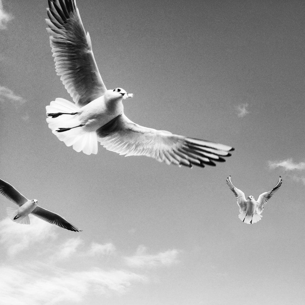 Photograph by Зоя