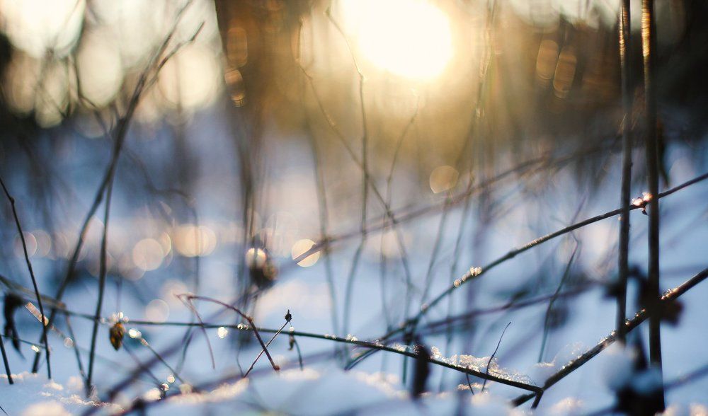 Солнечный день!