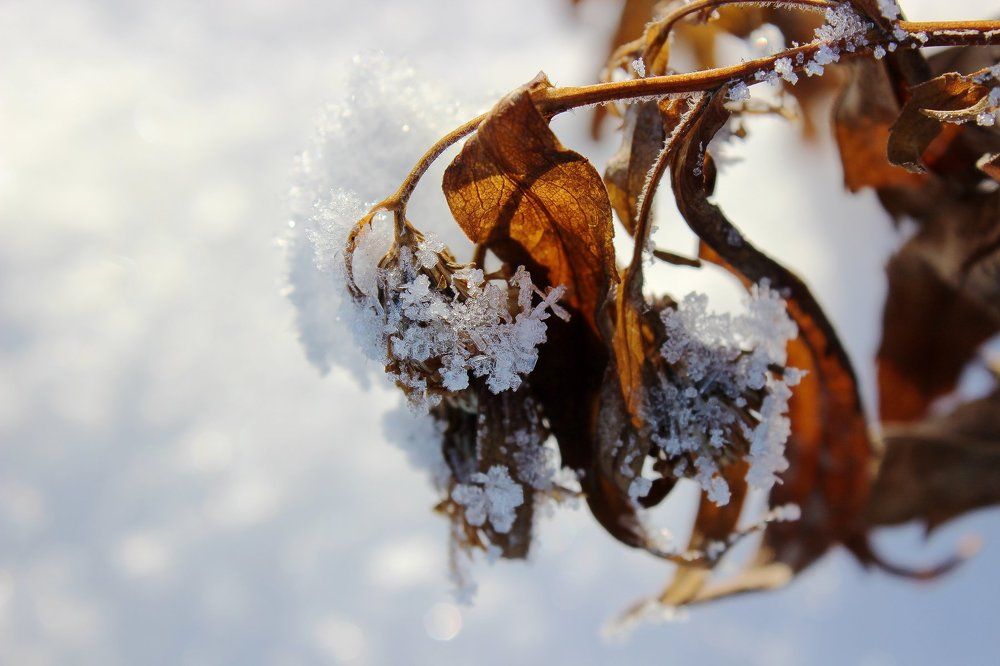 Фотография автора Анастасия Набока