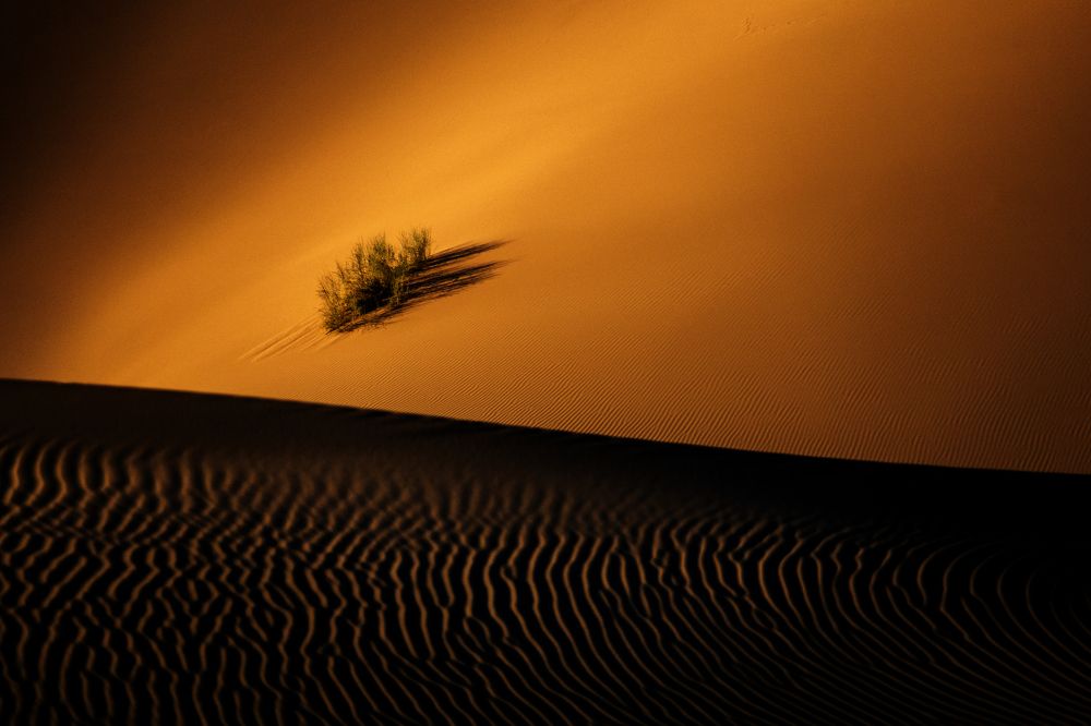 shape of desert2