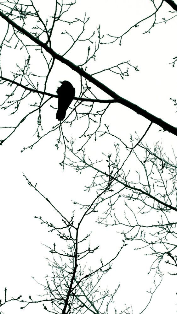 Photograph by Зоя
