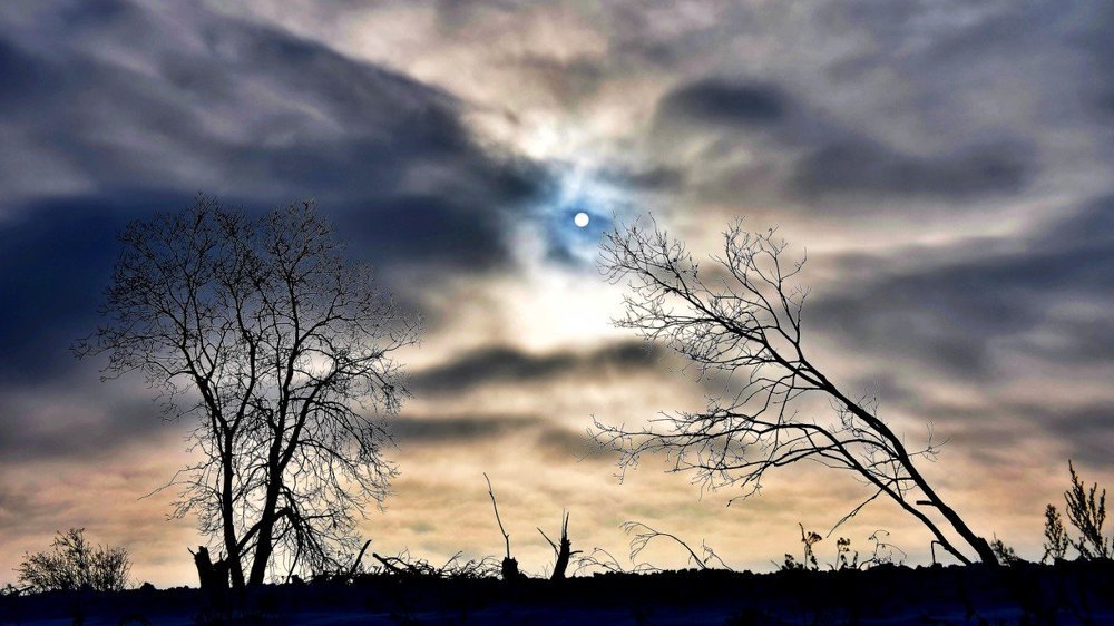 Photograph by Alexey Smal